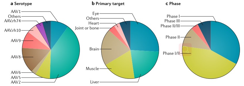 Creative Diagnostics